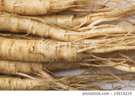 Ginseng ginseng 24819224