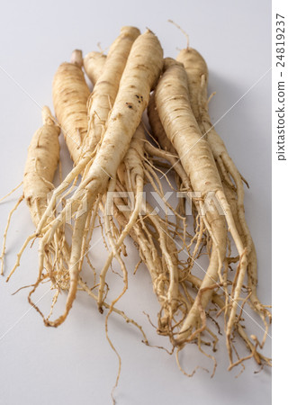 Ginseng ginseng 24819237