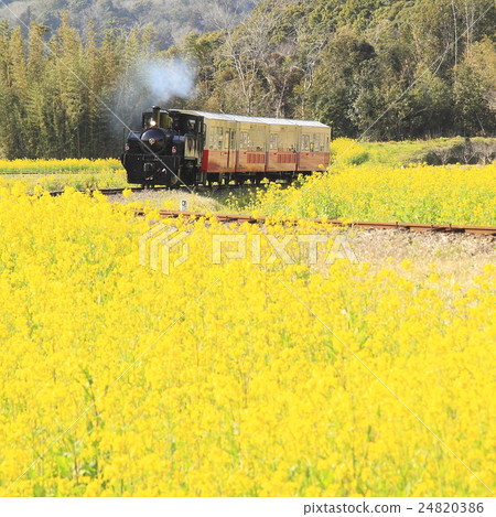 Spring Kominato Railway 24820386