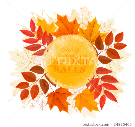 Enjoy Autumn Sales banner with autumn leaves 24820403