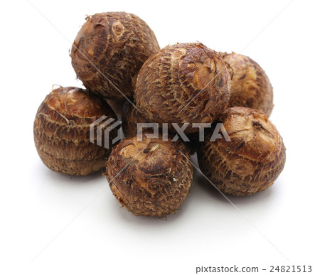Taro, Ishikawa Ko potato Taro, Ishikawa Ko potato 24821513