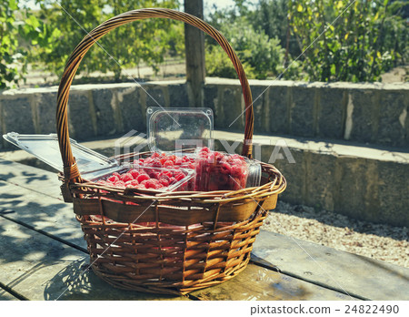 delicious red raspberries delicious red raspberries 24822490