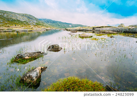 Mountains Lake With Cottongrass, Cotton-grass Or 24823099