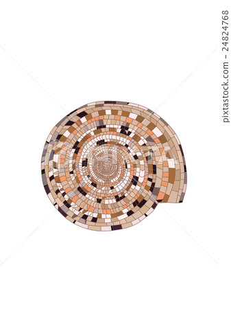 美麗的貝類馬賽克圖案 24824768