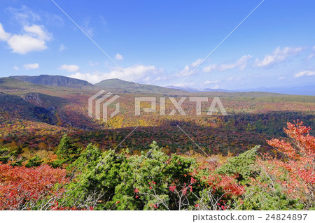 Adachi Adachi of autumnal leaves Adachi Adachi of autumnal leaves 24824897