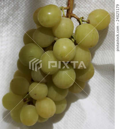 Shine Muscat of Shinshu 24825179