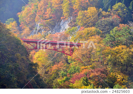 Kaihu的Takai Bridge和Matsukawa Valley 24825603