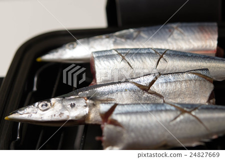 Salami grilled saury 24827669