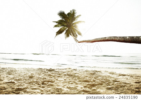 Beach Peaceful Vacations Summer Concept 24835190