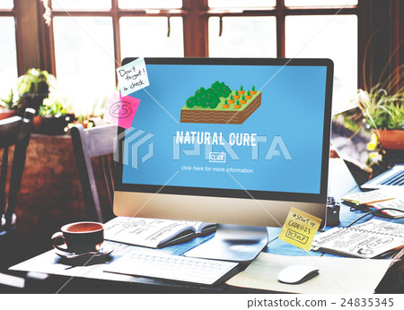 Organic Agriculture Crop Environment Growing Concept Organic Agriculture Crop Environment Growing Concept 24835345