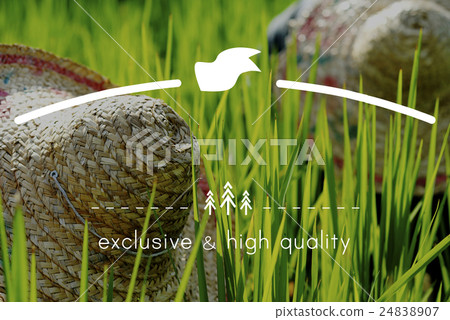 Quality Brand Product Standard Trademark Value Concept 24838907