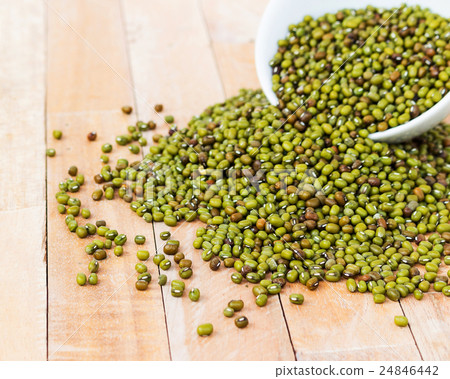 The mung bean was domesticated in Persia (Iran) The mung bean was domesticated in Persia (Iran) 24846442
