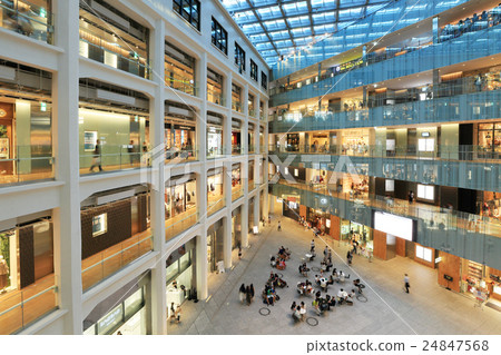 小貓內部視圖 小貓內部視圖 24847568