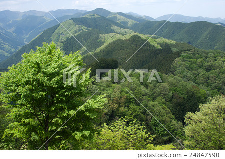 Mountain ranges of fresh green Okutama / Takamizu Miyama Mountain ranges of fresh green Okutama / Takamizu Miyama 24847590