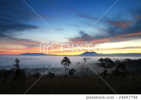 misty morning sunrise at Thung Salang Luang misty morning sunrise at Thung Salang Luang 24847798