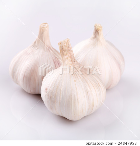 Fresh garlic 24847958