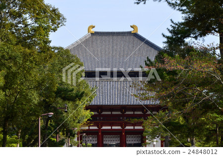 Todaiji Temple of Great Buddha (2016.4) 24848012