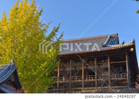 Miyajima's Senjokaku and colored ginkgo Miyajima's Senjokaku and colored ginkgo 24848297