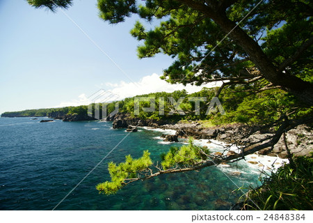 Higashi Izu Jogagasaki Coast Higashi Izu Jogagasaki Coast 24848384