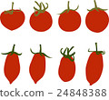 Tomato   24848388