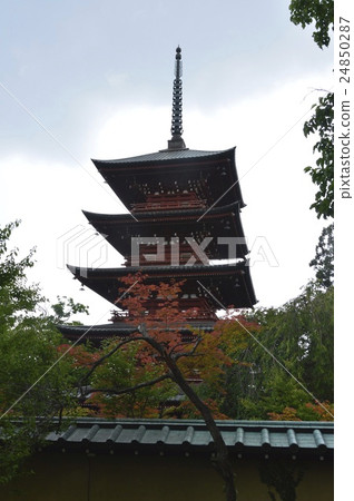 最高贏家的“五重塔”（青森縣弘前市銅鎮） 24850287
