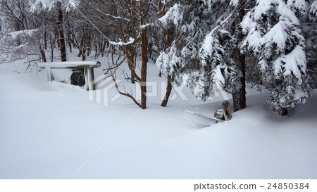 Snow Yokota farewell snow Snow Yokota farewell snow 24850384