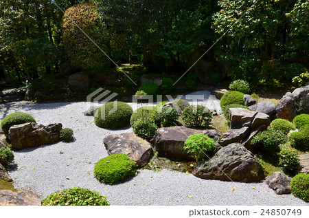 The departed temple Myoshinji Tower forefathers garden (2016.4) The departed temple Myoshinji Tower forefathers garden (2016.4) 24850749