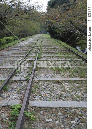琵琶湖運河傾斜線（京都市東山區） 24851834