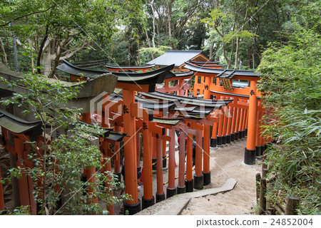 京都伏見稻荷大社的Senbon牌坊 24852004