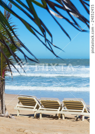 summer beach sun chairs lounger near tropical sea summer beach sun chairs lounger near tropical sea 24852455