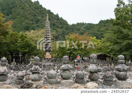 在京都初秋的菅野佛教牧師的川原 24852637