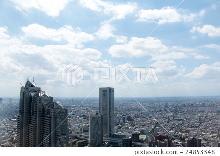俯瞰東京 24853348