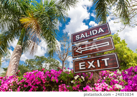 Sign Salida Exit with arrow 24853834