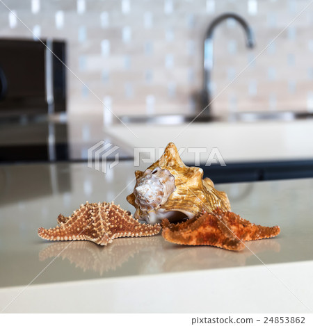 Starfish and seashell on stone table at  kitchen 24853862