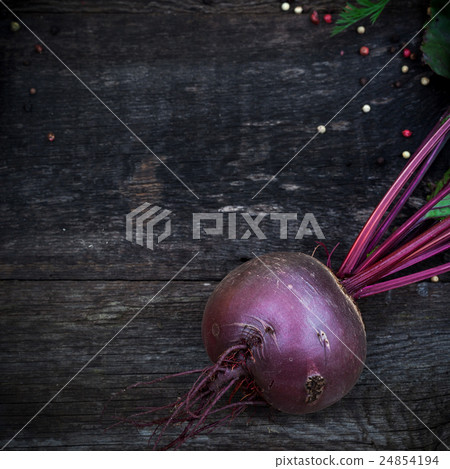 Fresh organic gardening vegetables 24854194