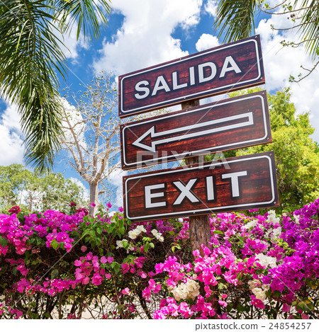 Sign Salida Exit with arrow Sign Salida Exit with arrow 24854257