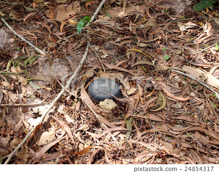 land mine, switch, cambodia 24854317