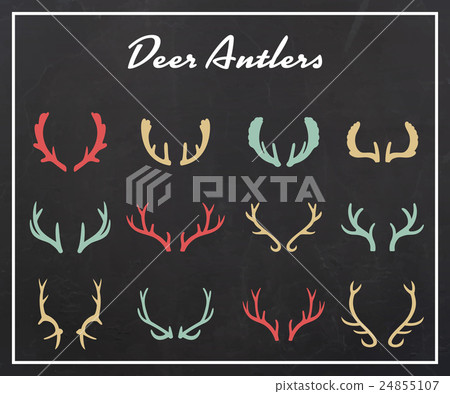 Vintage silhouettes of different deer horns Vintage silhouettes of different deer horns 24855107