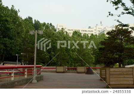 Hongik university in Seoul, Korea 24855338