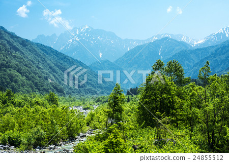 Mt. Mt. 24855512