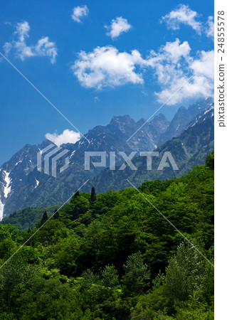 Mt. Mt. 24855578