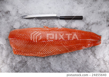 Salmon fillet on ice Salmon fillet on ice 24855640