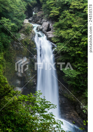 Miyagi prefecture Akiho Otori 24858578