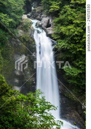 Miyagi prefecture Akiho Otori Miyagi prefecture Akiho Otori 24858580