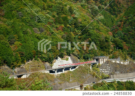 Autumn Inogawa Line 24858830