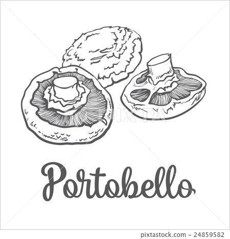 Set of portobello edible mushrooms 24859582