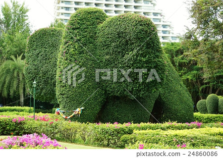 大象種植(大象花園樹) 大象種植(大象花園樹) 24860086