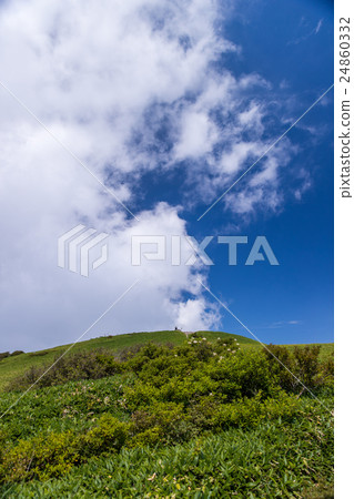 底森林(Kanegumori) 底森林(Kanegumori) 24860332