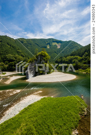 愛媛Otomigatake（僅限咪咪） 24860343