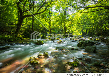 Odaseyama，一種新鮮的綠色（愛媛縣北區郡內子町） 24860455